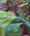 Plants: image 1 0f 4 thumb